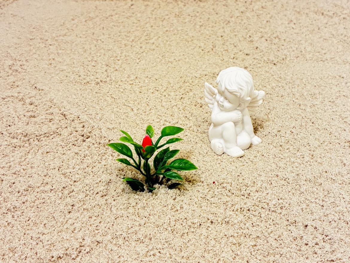 「様子を見ましょう」