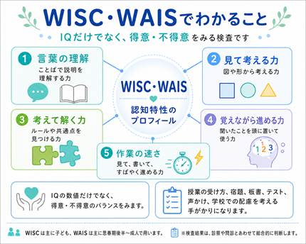 WISC・WAISでわかる認知特性のプロフィール。言葉の理解、見て考える力、考えて解く力、覚えながら進める力、作業の速さを整理し、学校での配慮につなげる図。
